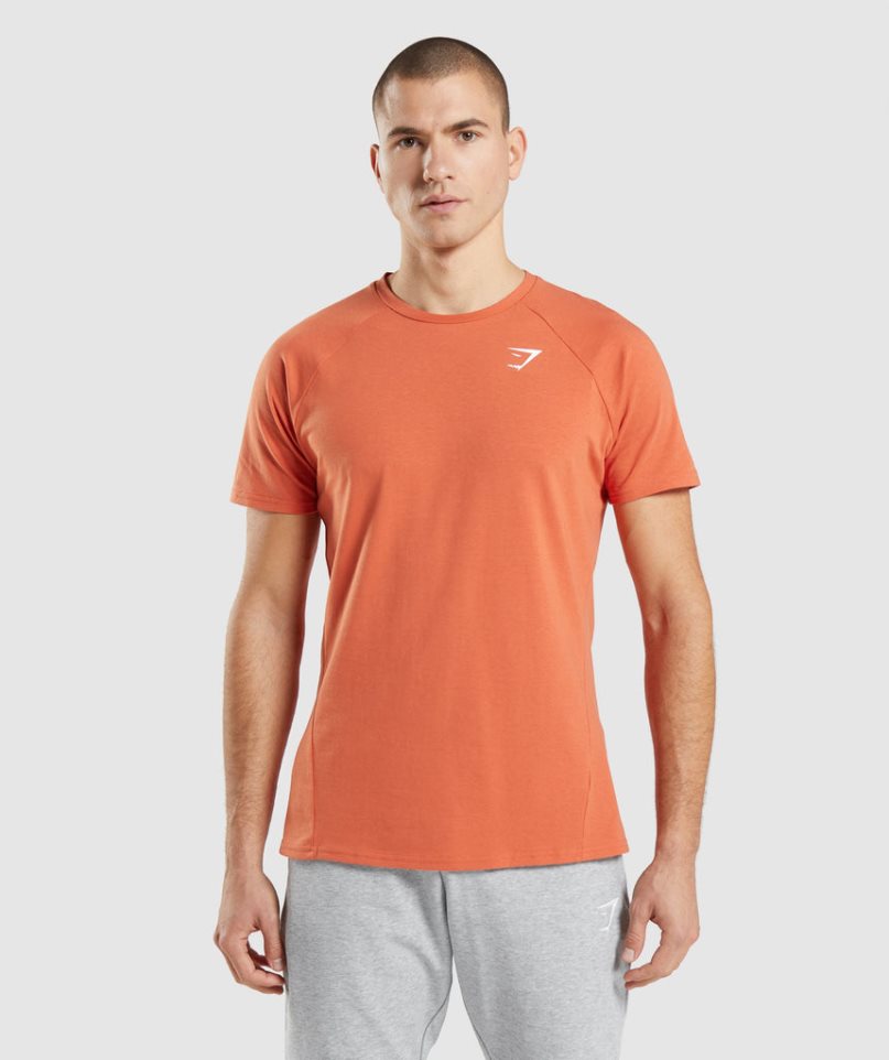 Camiseta Gymshark Critical Hombre Naranjas | MX 074ULM